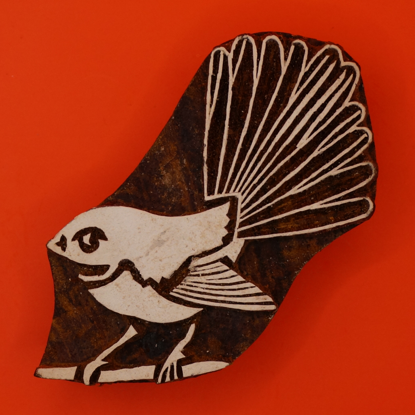 Fantail - Bird