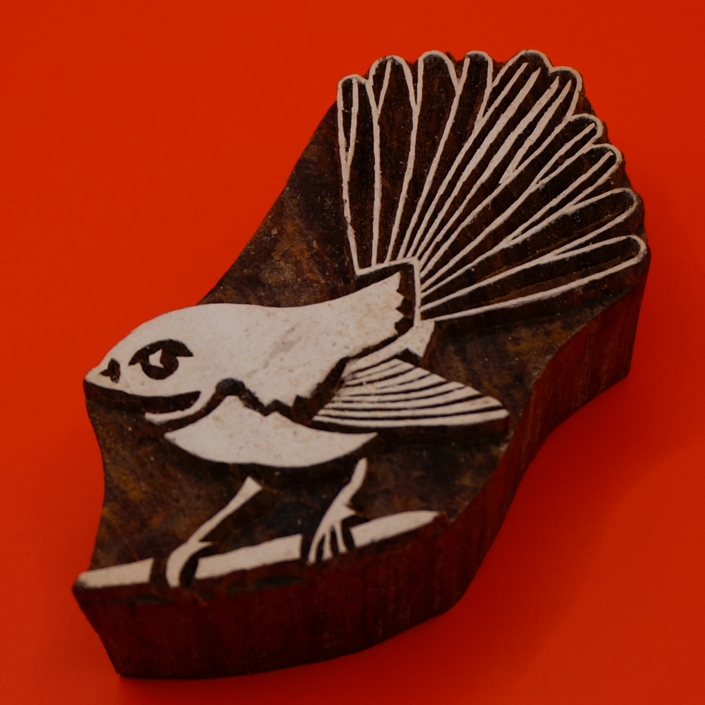 Fantail - Bird